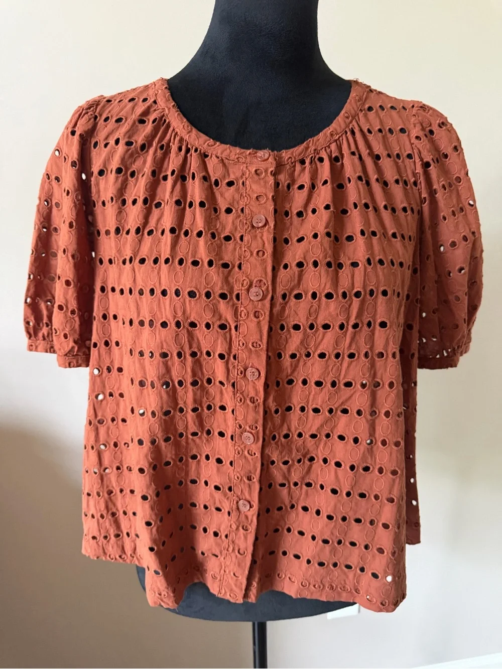 LOFT Brown Eyelet Button-Front Short Sleeve Blouse Small